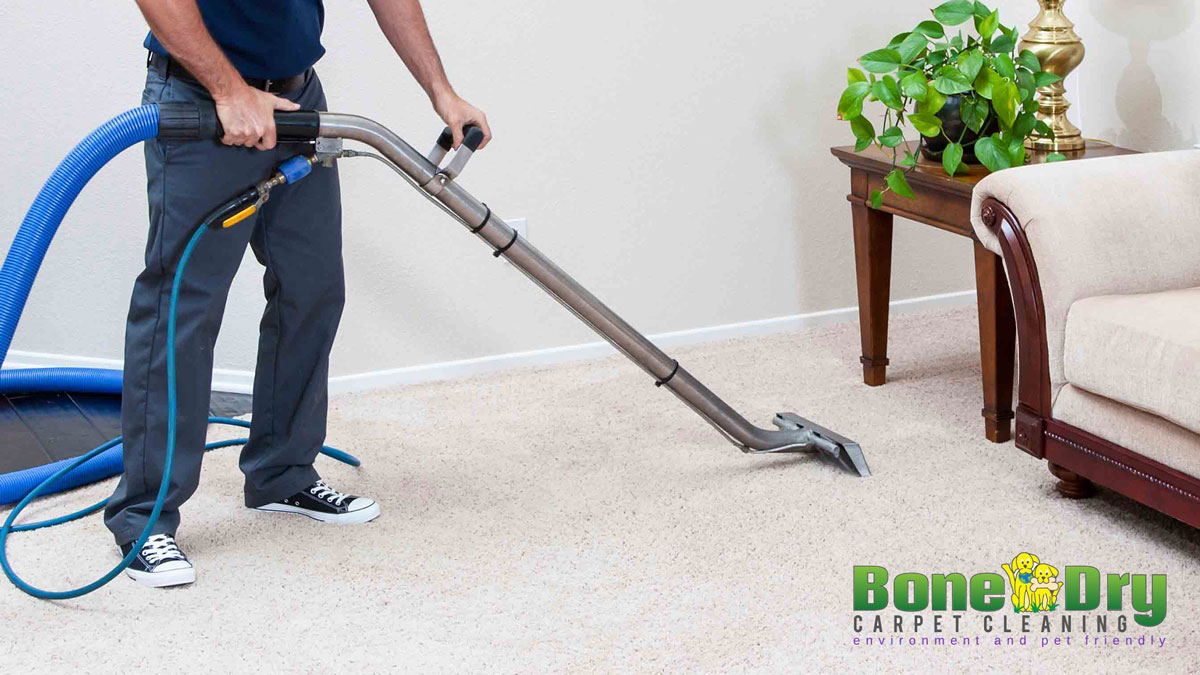 Carpet Cleaning Portland, Maine  Bone Dry Carpet Cleaning