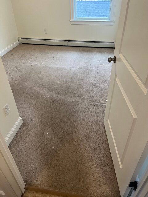 Carpet cleaning portland maine